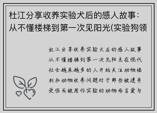 杜江分享收养实验犬后的感人故事：从不懂楼梯到第一次见阳光(实验狗领养)