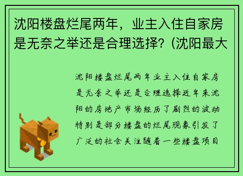 沈阳楼盘烂尾两年，业主入住自家房是无奈之举还是合理选择？(沈阳最大烂尾楼群)